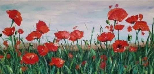 "Poppies in bloom"